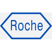 Roche Diabetes Care Gmbh