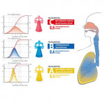 Ингалятор компрессорный LD-220С Ингалятор компрессорный LD-220С