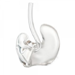 Вкладыш индивидуальный ушной Вкладыш индивидуальный ушной