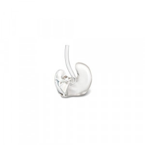 Вкладыш индивидуальный ушной Вкладыш индивидуальный ушной